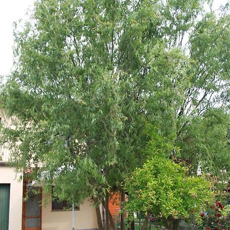 לינה וארוחת בוקר Porto Fuori I Salici Di Laura מראה חיצוני תמונה